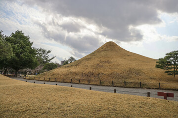 March 24 2025 Urban Park Landscape with Trees and Grass on a Cloudy Day, Japan