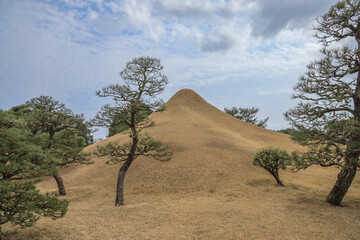 March 24 2025 Park Landscape with Trees and Grass on a Cloudy Day, Japan