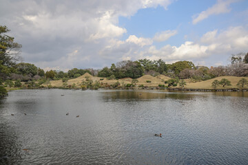 March 24 2025 Scenic Japanese Garden With Pond and Lush Landscaping, Japan
