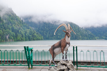 Goat is standing on a rock next to a fence