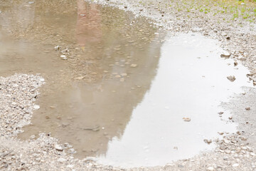 Puddle of water on the ground