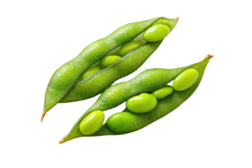 Two halves of a green soybean pod, displaying several beans inside.  Fresh, vibrant green pods with visible bean interiors.  Close-up, isolated against black background