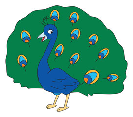 The peacock is spreading its wings