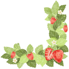 Elegance floral arrangement with watercolor strawberries and white flowers.