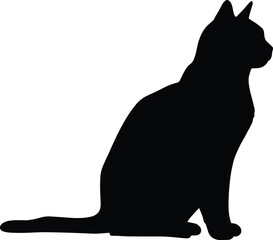 Silhouette of a sitting cat isolated on white background – vector illustration of domestic pet in side profile pose.