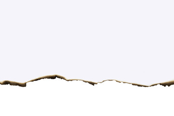 Close-up of a burnt paper edge with a subtle curve, showing scorched and charred details. A perfect...