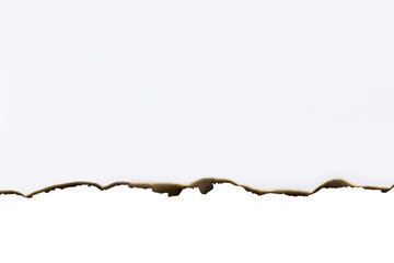 A wide burnt edge on white paper, featuring a gradient of scorched and charred texture. Ideal as a...
