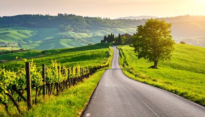 Scenic Tuscan countryside road