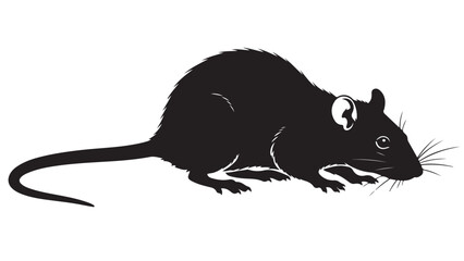 Black rat illustration on white background, vector drawing