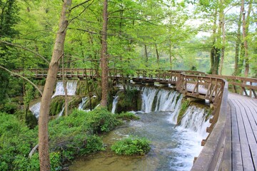 waterfall in the forest