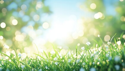 Obraz premium Blurred Green Grass And Blue Sky With Bright Bokeh: Abstract Summer Vibe In A Natural Green Environment. Reflecting Ecology And Greenery.