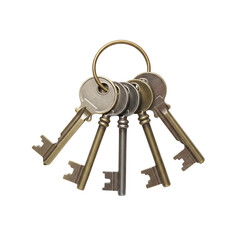 Bunch of old and modern keys on a key ring