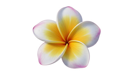 Naklejka premium A vibrant red bell pepper with a green stem on black background .ai generative, transparent background, white background. isolated on white background