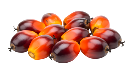 A pile of fresh palm fruits with vibrant colors on black background    .ai generative, transparent background, white background. isolated on white background