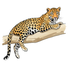 Obraz premium Detailed illustration of a powerful spotted jaguar relaxing on a tree branch wildlife art