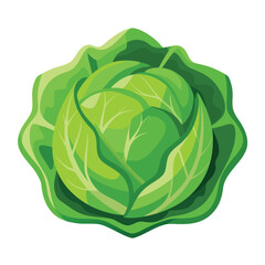 Vibrant Flat Design Cabbage Icon with Gradient & Shadow - Fresh Vegetable Vector