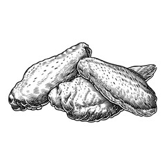 Grilled chicken wings on white background in engraved illustration style  