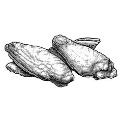 Grilled chicken wings with skin texture on white background  