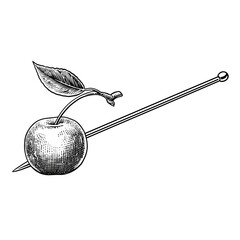 Maraschino cherry on cocktail pick with leaf in sketch style  