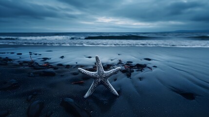 A starfish on the dark, wet sand, with the ocean and sky in the background.