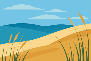 sand dunes on the beach