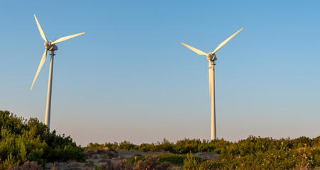 Wind turbines generate sustainable energy in rural landscape during golden hour showcasing clean...