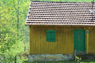 old yellow house in the forest