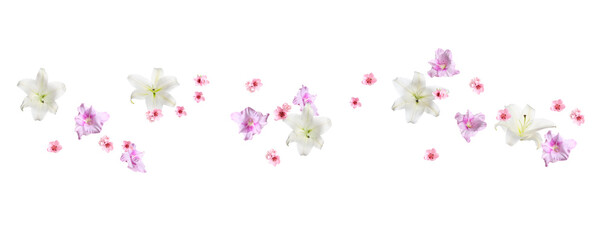 Obraz premium Beautiful delicate flowers flying against white background