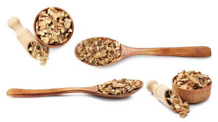 Chicory. Dry pieces of root isolated on white, set