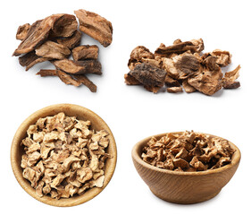 Chicory. Dry pieces of root isolated on white, set