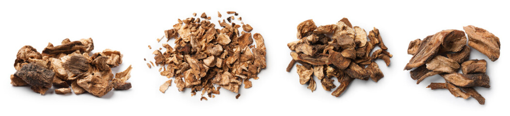 Chicory. Dry pieces of root isolated on white, set