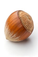 hazelnut isolated on white background