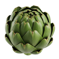 Fototapeta premium Close up of a Fresh Artichoke on transparent background