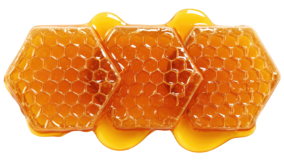 Honeycomb pieces, overlapping, honey drizzled