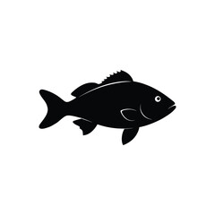 rockfish on white background