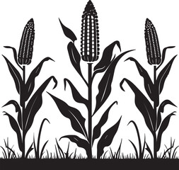 Silhouette of Corn Plants in a Field