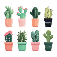 cactus isolated on white background