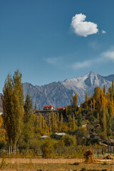 The autumn scenery with Hindu Kush mountain range in the background is very beautiful, Gahkuch,northern Pakistan.
