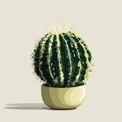 cactus isolated on white background