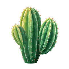 cactus isolated on white background