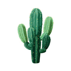 cactus isolated on white background