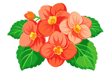 Beautiful orange begonia flowers illustration for botanical design and floral art projects needs