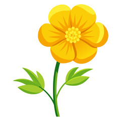 Illustration of a bright yellow buttercup flower with green leaves and stem for botanical art