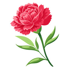 Beautiful red carnation flower illustration for floral design and botanical art projects ideas