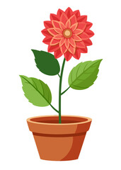 Red dahlia flower in pot illustration, floral design element, botanical art, garden decor, plant image