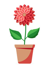 Beautiful potted flower illustration of a dahlia plant for garden and floral design projects use this image