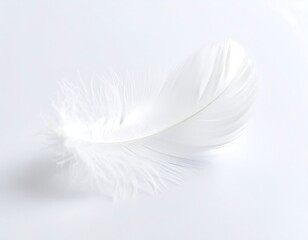 Fototapeta premium Delicate white feather against a plain light background