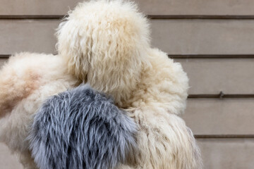 Focused view of neutral-toned fluffy Caucasian hats, captured in natural light