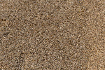A close up of a carpet with a lot of small grains of sand