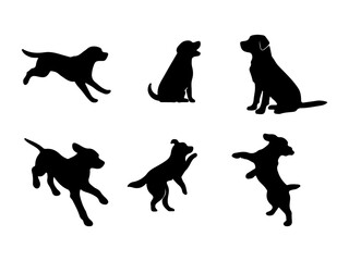 Collection of six black dog silhouettes in various playful poses isolated on white background silhouette